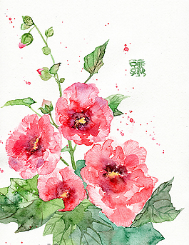 水彩牡丹