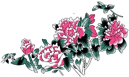牡丹花