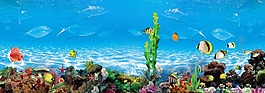 海底世界