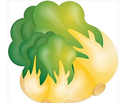 大白菜