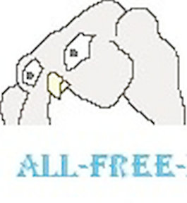 OWL 6
