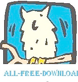 OWL 8