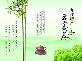云雾茶宣传册
