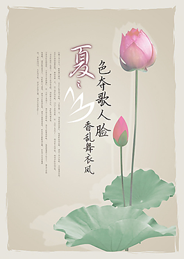 夏荷