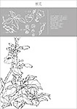 矢量白描桐花