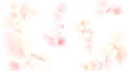 花蕊花纹花边素材图片