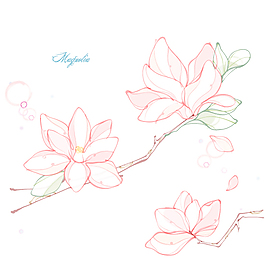 木兰花线稿