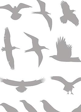 鸟类剪影矢量