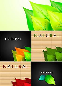 精美树叶广告背景矢量素材