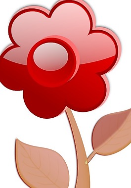 花A6