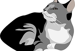 加托猫剪贴画
