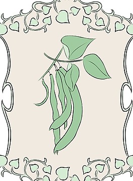 园林标识字符串豆