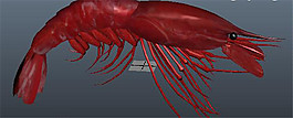 红色虾游戏模型素材