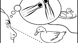 人们发现游泳的鳍状肢的剪辑艺术