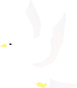 鸟70