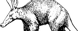 Aardvark剪贴画