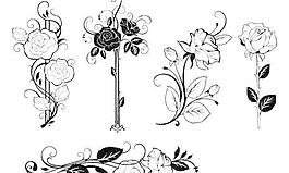 手绘花朵素材精致