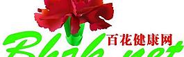 百花logo图片