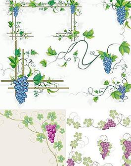 葡萄藤花纹花边矢量素材