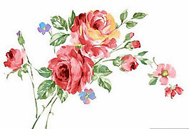 韩国手绘花卉PSD素材 14