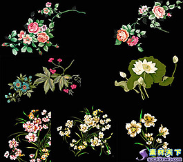 7款透明花卉psd源文件
