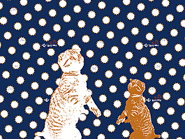 圆点猫咪