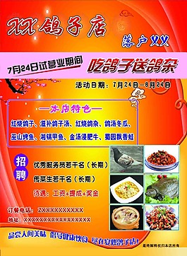 鸽子店彩页正面