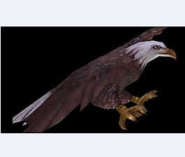 雄鹰max模型