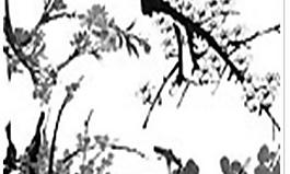 笔刷国画梅花
