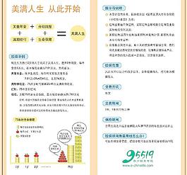 中国人寿二折页反面图片