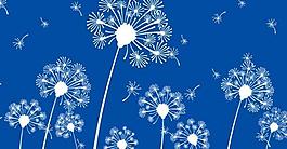 蒲公英笔刷图片