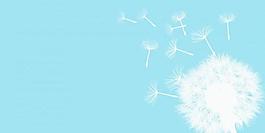 蒲公英笔刷图片