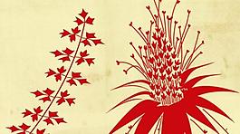 枫叶花朵笔刷图片