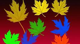 漂亮枫叶笔刷图片