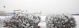 根河一中校园雪景图片