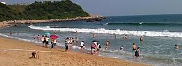阳春海滩图片