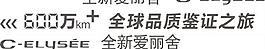 全新爱丽舍车贴