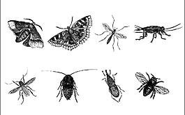 夏季杀虫产品素材图片