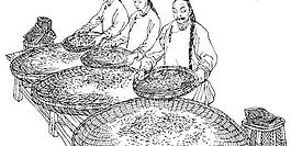 制茶工艺图片
