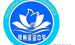 滕州滨湖中学 中学标志图片