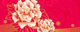 牡丹花