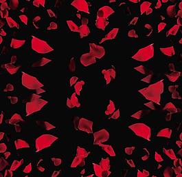 玫瑰花瓣PSD素材