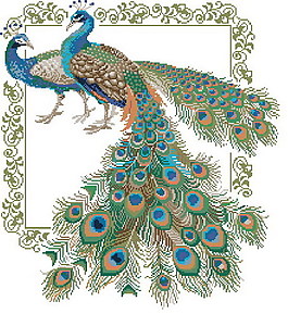 十字绣孔雀图纸