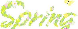 spring花体字