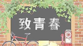 致青春