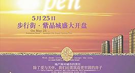 紫晶城商业地产开盘海报矢量图