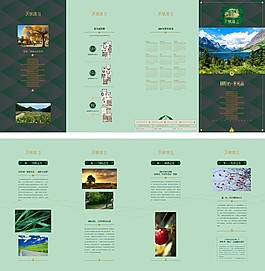 地产宣传四折页