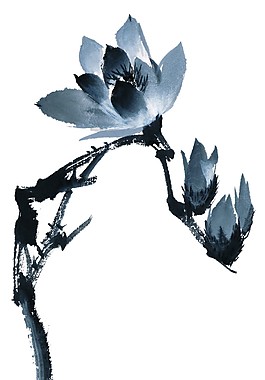 水墨画含苞待放欣赏