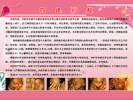 四维彩超