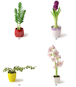 美丽盆栽模型图片 美丽盆栽模型素材 美丽盆栽模型模板免费下载 六图网